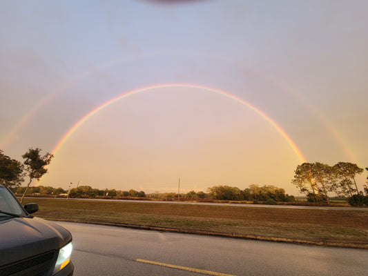 Chasing Rainbows: A Journey from Stormy Days to Nature's Radiance