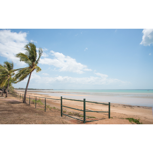 Car Air Freshener|Ocean Air